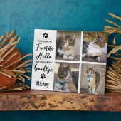 Pet Loss Foto Collage Cat Memorial Fotoplaat (Zijkant)