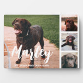 Pet Loss Gepersonaliseerd Foto Collage Fotoplaat (voorkant)