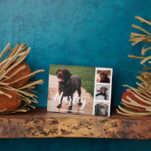 Pet Loss Gepersonaliseerd Foto Collage Fotoplaat (Zijkant)