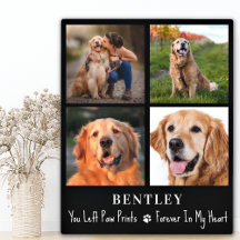 Pet Loss Gift Dog Memorial Aangepast 4 Foto Collag