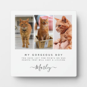 Pet Loss Gift voor Hond & Kat, 3 Foto Huisdier Mem Fotoplaat