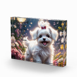 Pet Loss Memorial Fotoblok