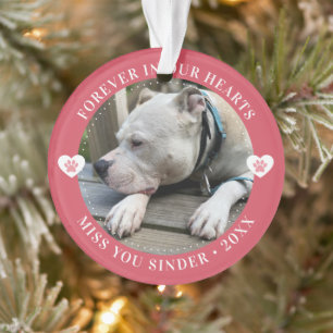 Pet Loss Memorial Keepsake Foto Modern Ornament