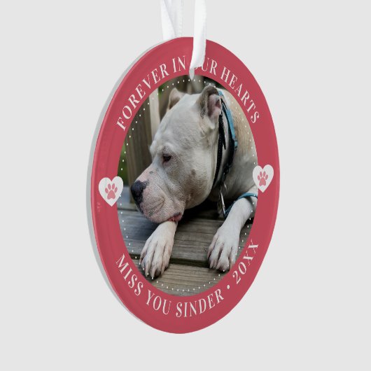 Pet Loss Memorial Keepsake Foto Modern Ornament (voorkant)