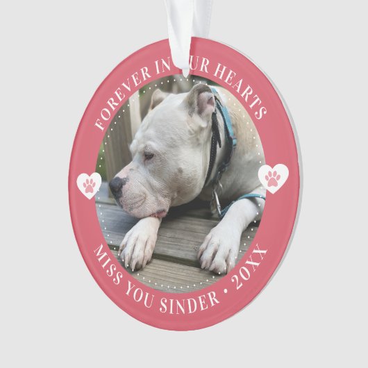 Pet Loss Memorial Keepsake Foto Modern Ornament (voorkant)