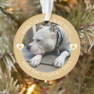 Pet Loss Memorial Keepsake Foto Modern Ornament