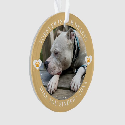 Pet Loss Memorial Keepsake Foto Modern Ornament (voorkant)