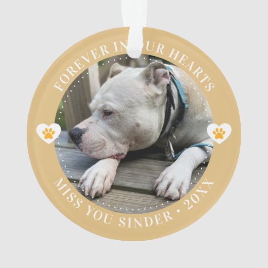 Pet Loss Memorial Keepsake Foto Modern Ornament (achterkant)