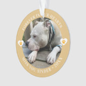 Pet Loss Memorial Keepsake Foto Modern Ornament (voorkant)