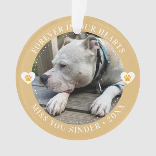 Pet Loss Memorial Keepsake Foto Modern Ornament (voorkant)