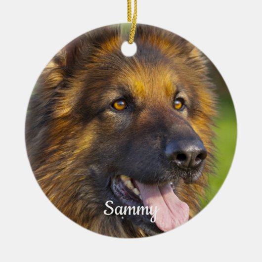 Pet Loss Rainbow Bridge Pet Dog Memorial Keramisch Ornament (Voorkant)