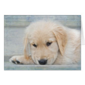 Pet Loss Sympathie Golden Retriever (Voorkant Horizontaal)