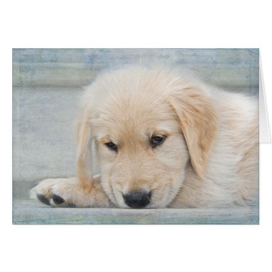 Pet Loss Sympathie Golden Retriever (Voorkant Horizontaal)