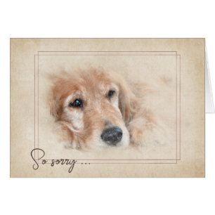 Pet Loss Sympathie Golden Retriever