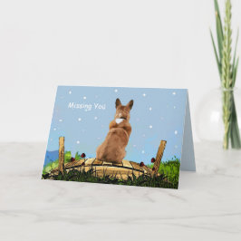 Pet Loss sympathie Kaart