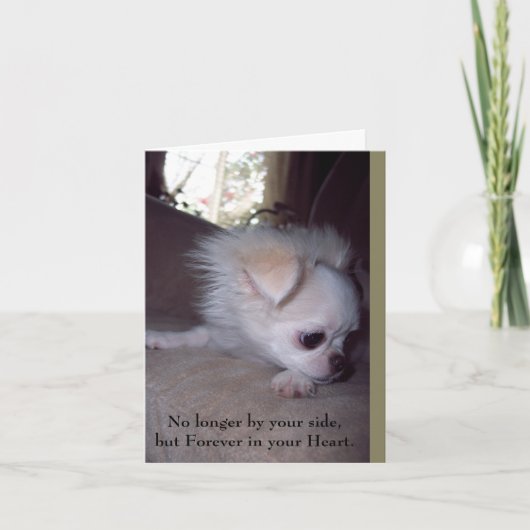 Pet Loss Sympathy Card voor honden Kaart (Voorkant)