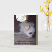 Pet Loss Sympathy Card voor honden Kaart (Gele Bloem)