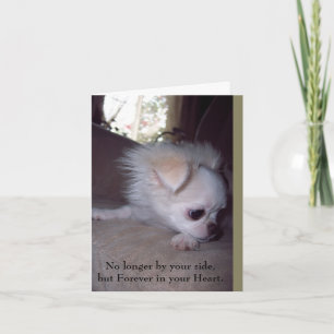 Pet Loss Sympathy Card voor honden Kaart