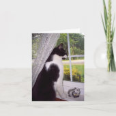 Pet Loss Sympathy Card voor Kat Kaart (Voorkant)