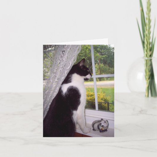 Pet Loss Sympathy Card voor Kat Kaart (Voorkant)
