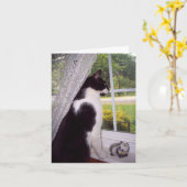 Pet Loss Sympathy Card voor Kat Kaart (Gele Bloem)