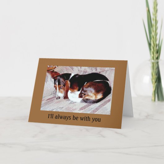Pet Loss Sympathy: Loss of Dog Greeting Cards Kaart (Voorkant)