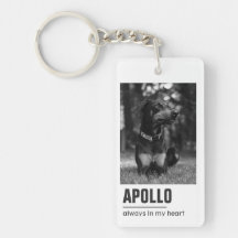 Pet Loss Sympathy Memorial Keepsake-symbool