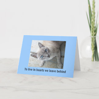 Pet Loss Sympathy: verlies van Wenskaarten Kaart