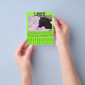 Pet Lost Flyer-Sjabloon - 4,5 x 5,6-inch brochure (Hand)