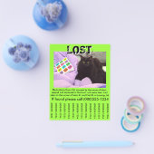 Pet Lost Flyer-Sjabloon - 4,5 x 5,6-inch brochure (Enkel)