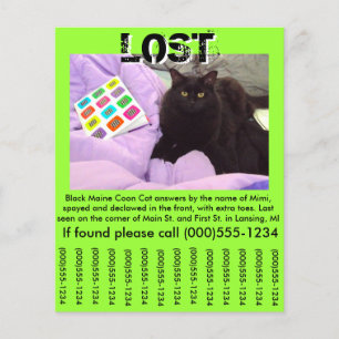 Pet Lost Flyer-Sjabloon - 4,5 x 5,6-inch brochure