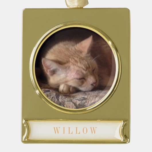 PET LOVE Banner Ornament / Goud Verguld Banner Ornament (Voorkant)