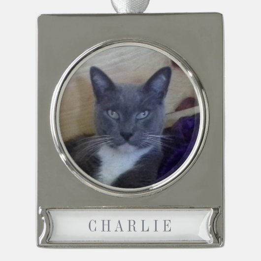 PET LOVE Banner Ornament / Zilver Verzilverd Banner Ornament (Voorkant)