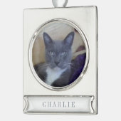 PET LOVE Banner Ornament / Zilver Verzilverd Banner Ornament (Links)