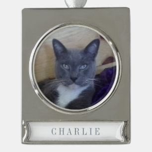 PET LOVE Bannerornament / Zilver Verzilverd Banner Ornament