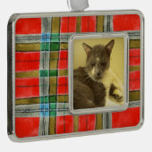 PET LOVE Framed Horizontaal Ornament / MacBainPlai (Rechts)