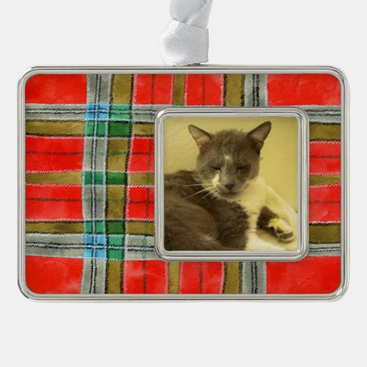 PET LOVE Framed Horizontaal Ornament / MacBainPlai (Voorkant)