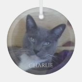 PET LOVE Glass Circle Ornament (Voorkant)