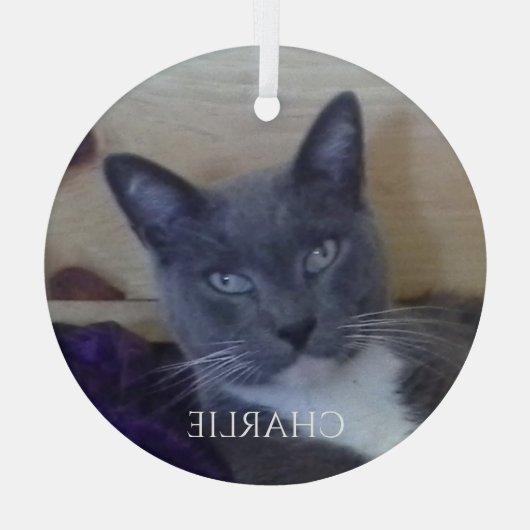 PET LOVE Glass Circle Ornament (Achterkant)