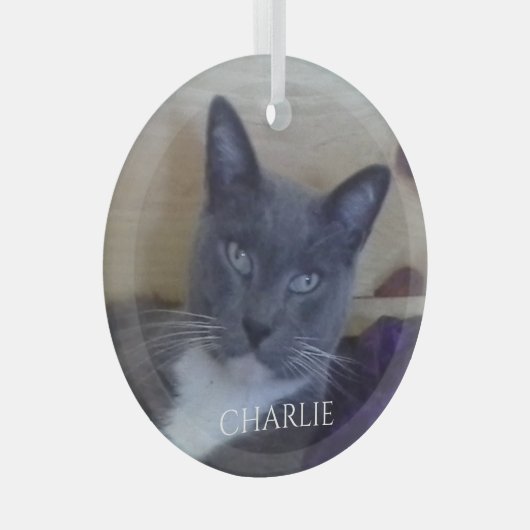 PET LOVE Glass Circle Ornament (Voorkant Rechts)