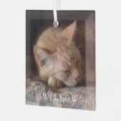 PET LOVE Glass Square Ornament (Voorkant links)