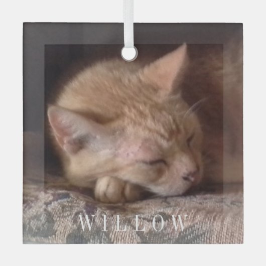 PET LOVE Glass Square Ornament (Voorkant)