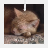 PET LOVE Glass Square Ornament (Achterkant)