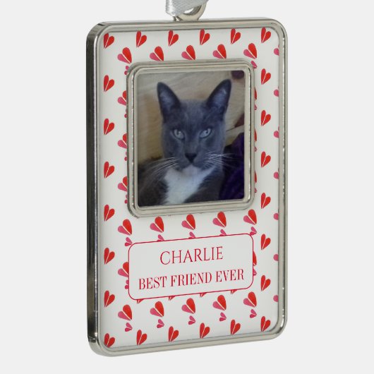 PET LOVE ingelijst Vert Ornament + Tekst / Harten (Rechts)