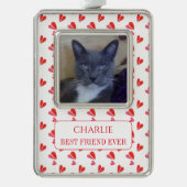 PET LOVE ingelijst Vert Ornament + Tekst / Harten (Voorkant)