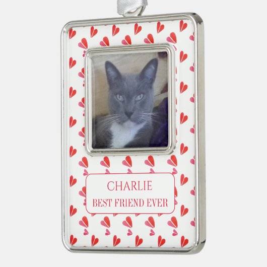 PET LOVE ingelijst Vert Ornament + Tekst / Harten (Links)