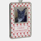 PET LOVE Ingelijst Vert ornament + tekst / Hartjes (Rechts)