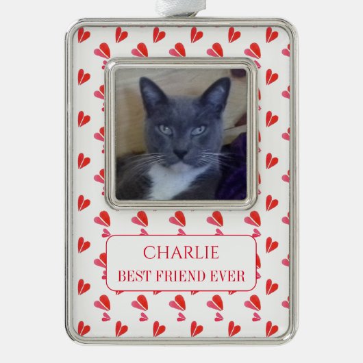 PET LOVE Ingelijst Vert ornament + tekst / Hartjes (Voorkant)