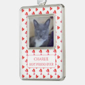 PET LOVE Ingelijst Vert ornament + tekst / Hartjes (Links)