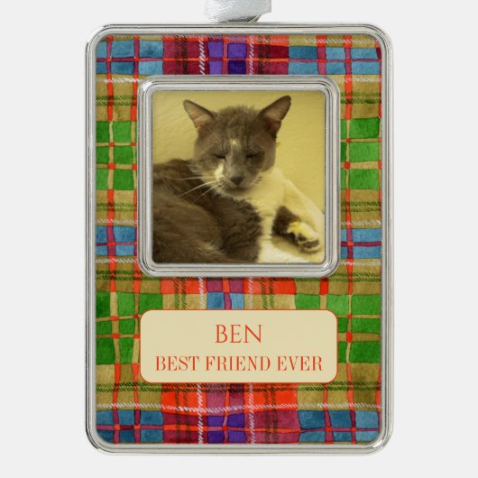 PET LOVE Ingelijst Vert Ornament + Tekst / MacRaeP (Voorkant)
